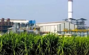 Good News: बिहार में खुलेंगे 25 नई चीनी मील, गन्ना उद्योग विभाग की तैयारी तेज