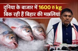 मछली और दूध उत्पादन में आत्मनिर्भर बना बिहार, सुधा बिक्री केंद्रों की तर्ज पर खुलेंगे ‘फ्रेश कैच फिश आउटलेट’