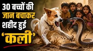 वफादारी की मिसाल: ‘काली’ ने सांप से लड़कर 30 बच्चों को बचाने में दी अपनी जान