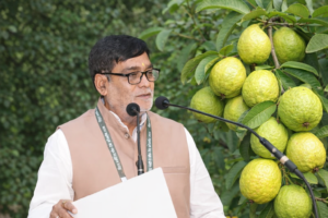 अमरूद बनेगा किसानों की आय का मजबूत आधार, बिहार में बागवानी को मिलेगा नया विस्तार